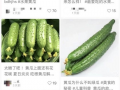 网红黄瓜最新爆料图片,揭秘神秘图片背后的惊人真相！