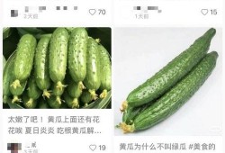 网红黄瓜最新爆料图片,揭秘神秘图片背后的惊人真相！
