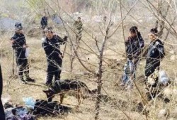 榆林榆河命案最新爆料,最新爆料揭示惊人真相