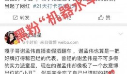 国威大嘎子最新爆料网站,揭秘最新网站幕后真相