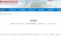 合肥爆料最新消息新闻,突发事件引发关注，详情即将揭晓